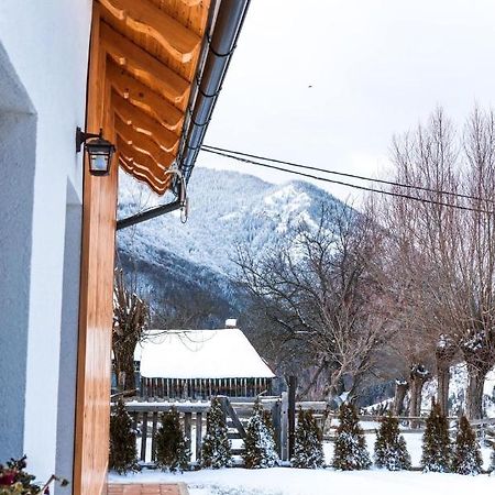 Ograda Magura Village Kültér fotó